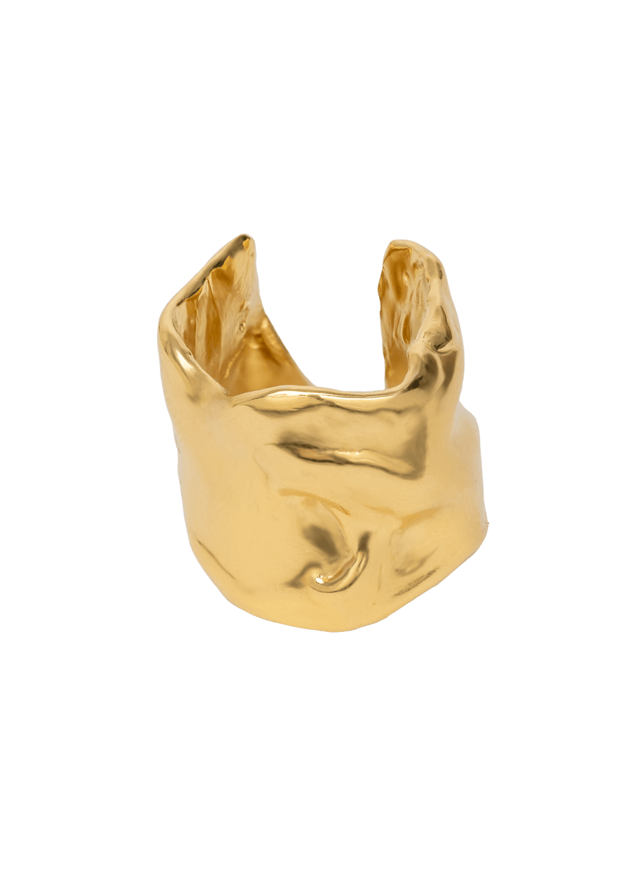 lavani Anillo Clemence