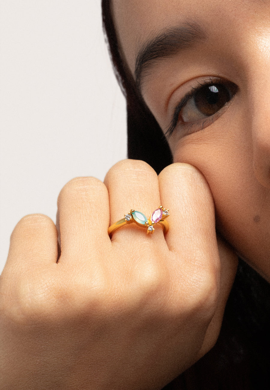 Lavani Anillo Denali