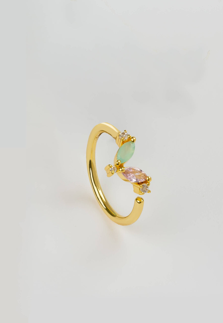 Lavani Anillo Denali