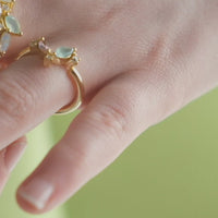 Lavani Anillo Denali