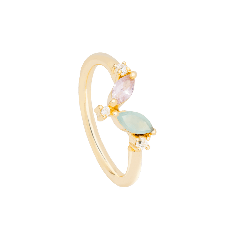 lavani Anillo Denali