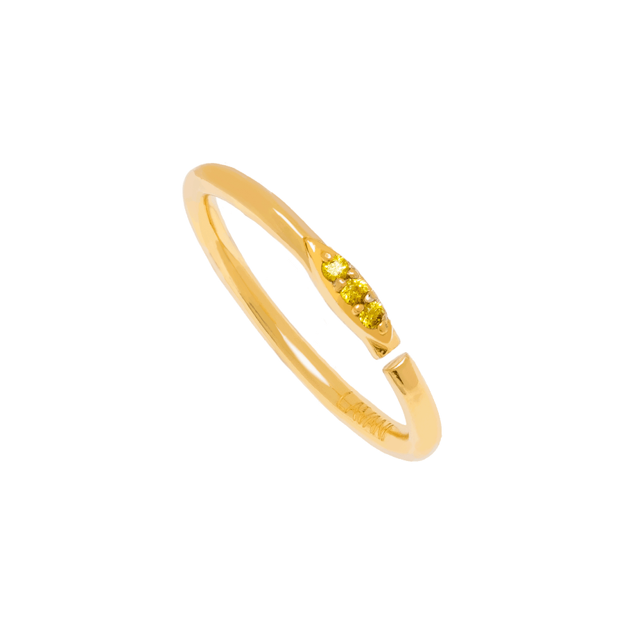 lavani Anillo Haddou