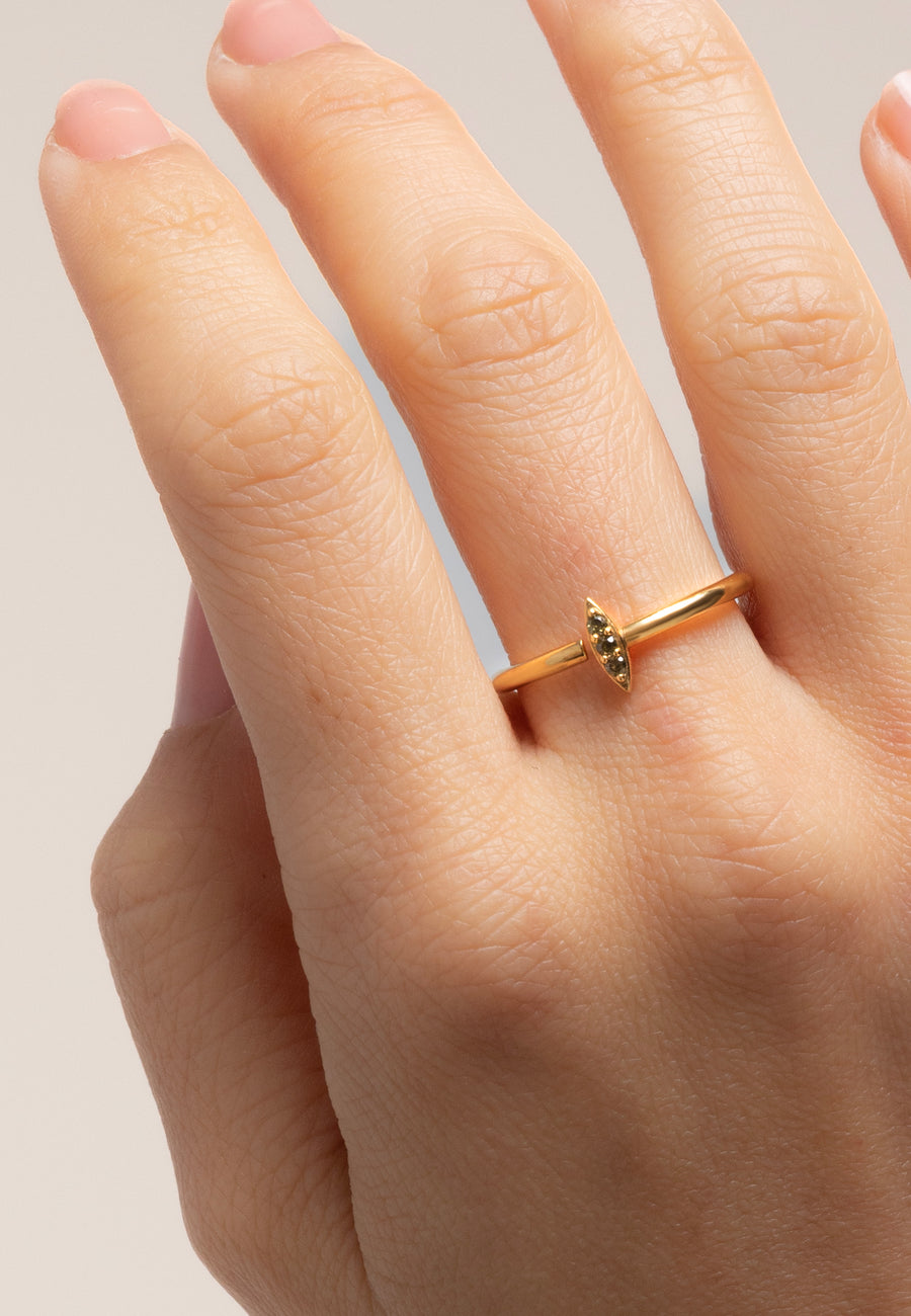 Lavani Anillo Zagora