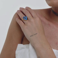 Lavani Anillo Zenith Labradorita