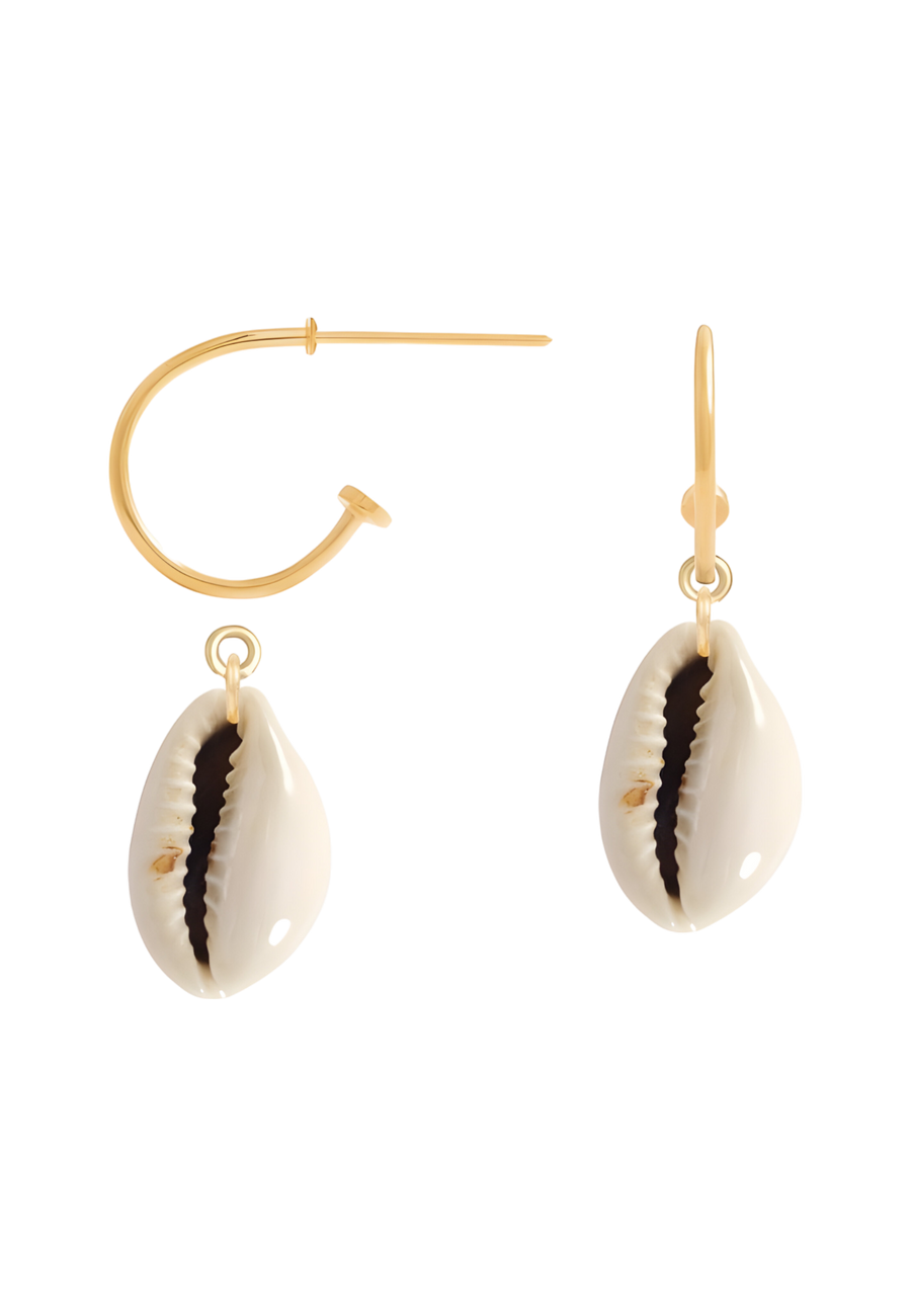 lavani Aros Eclectic Big Cowrie