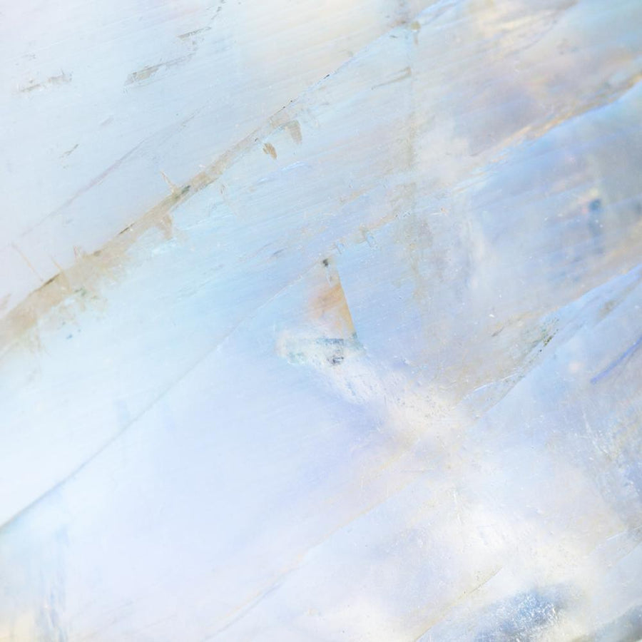 Lavani Aros Kasia Blanco Plata