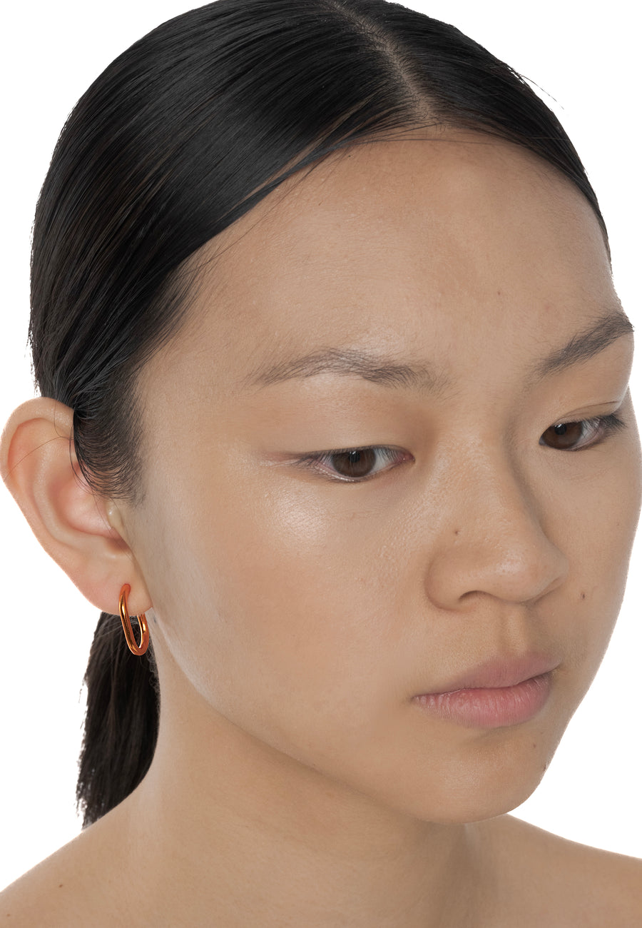 Lavani Aros Saito Naranja