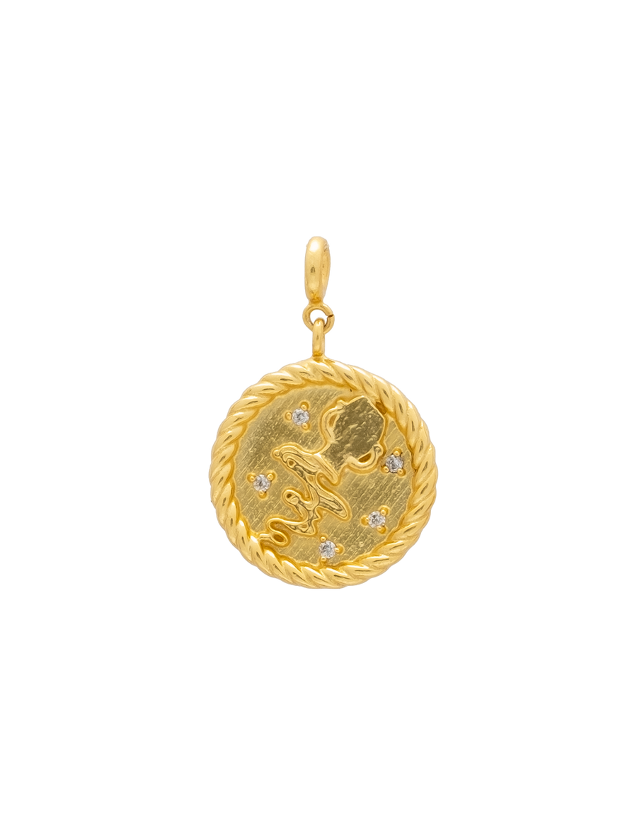 Lavani Charm Zodiaco Acuario