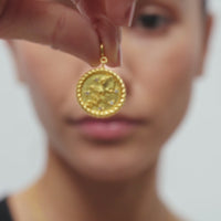 Lavani Charm Zodiaco Acuario