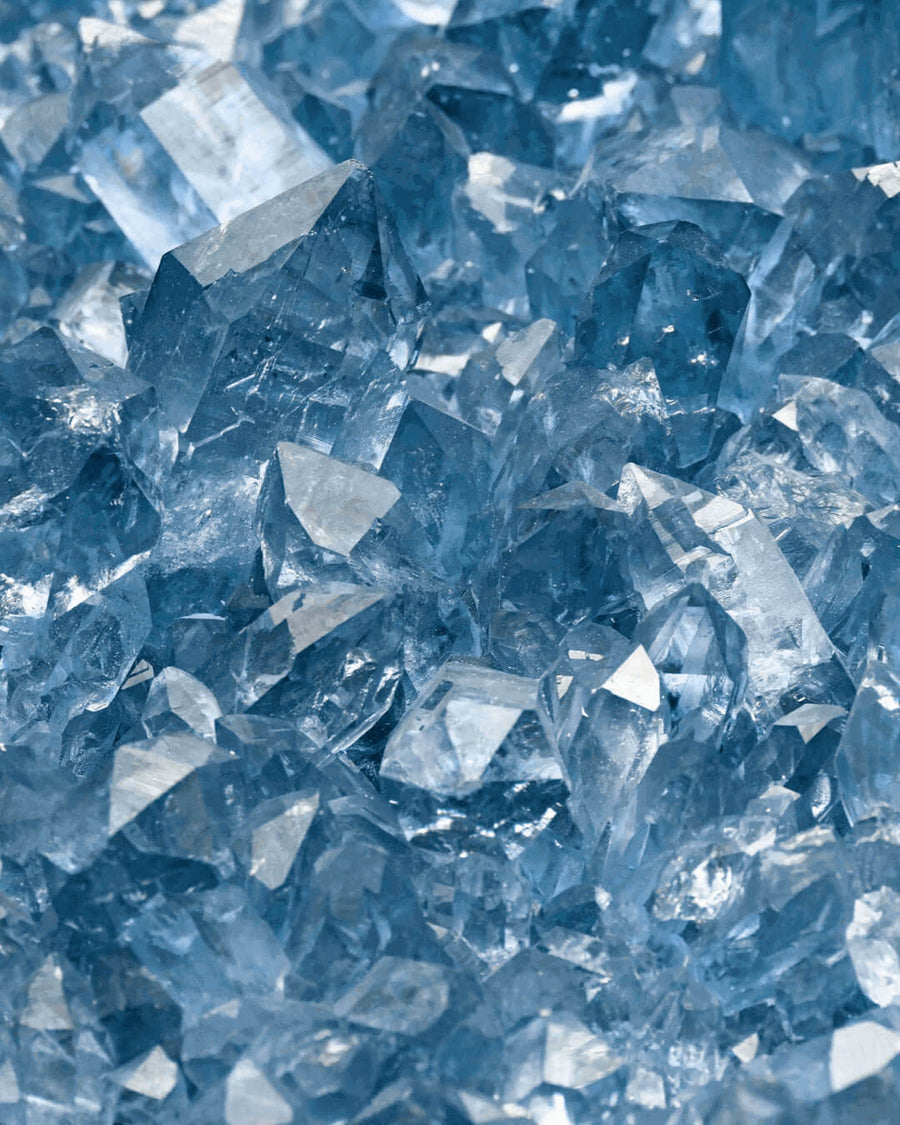 Lavani Choker Plata The Empress