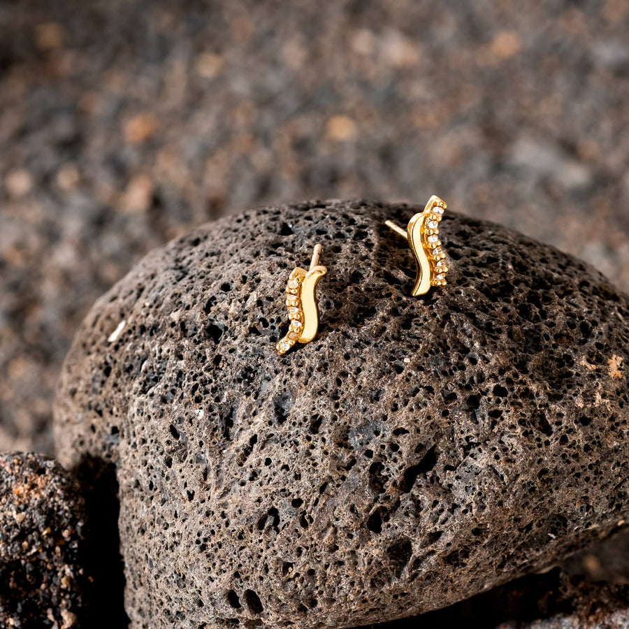 Lavani Pendientes Brise