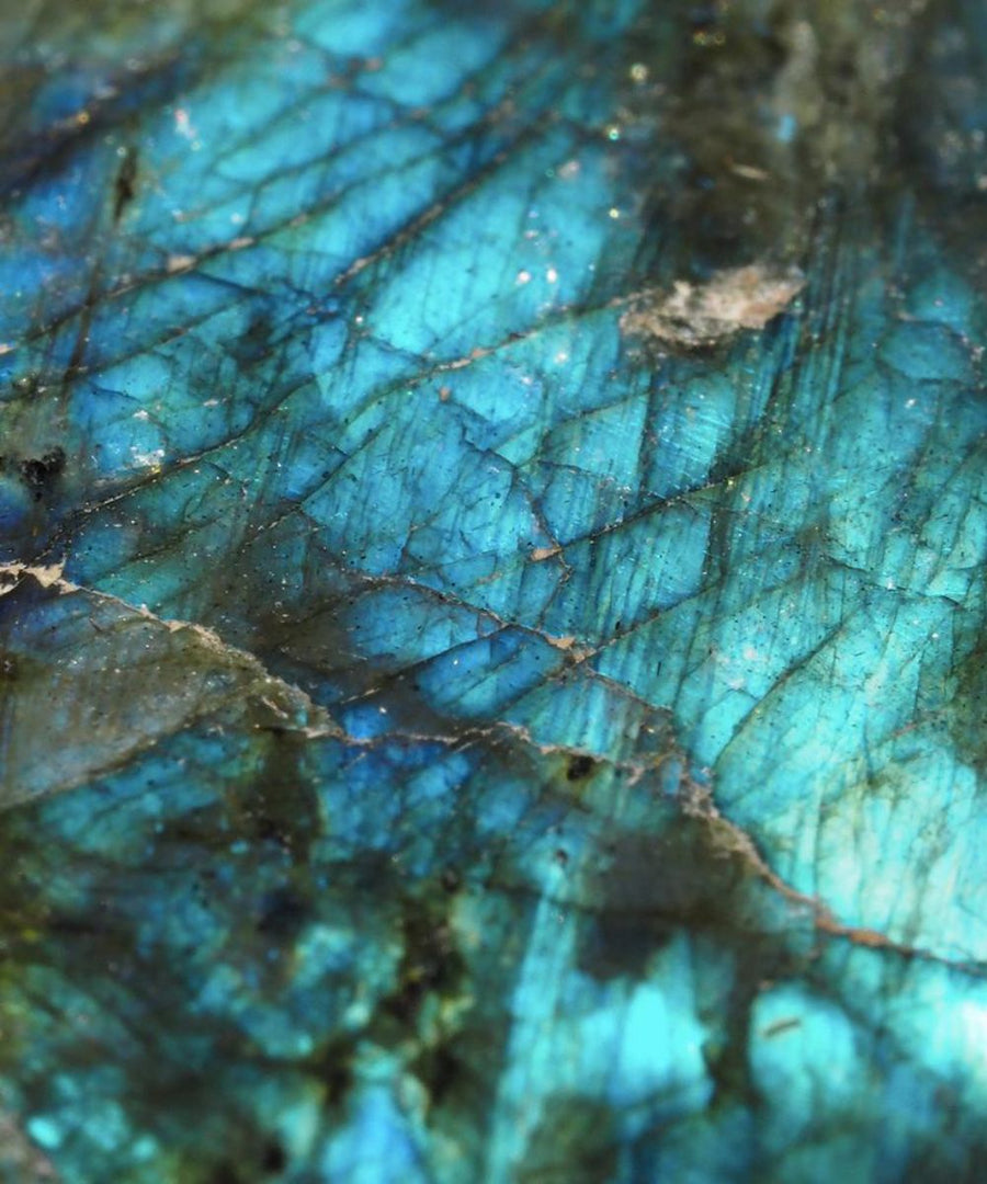 Lavani Pendientes Indira Maxi Gris