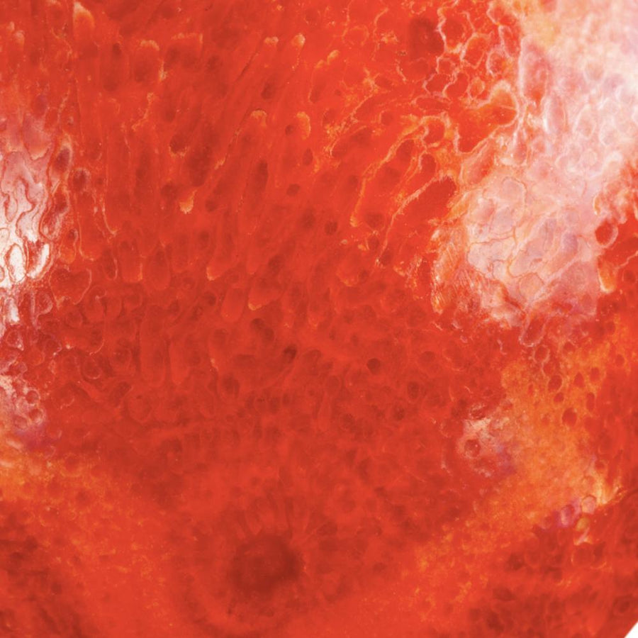 Lavani Pendientes Plata Alhambra Rojo