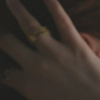 Lavani Pendientes Trepadores Padma