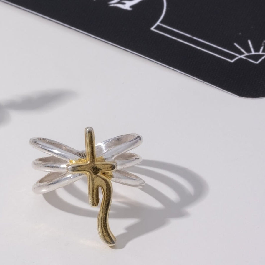 Lavani The Ring Of Saturn