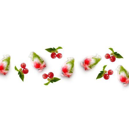 Lékué Cubitera Con Tapa Pingüino