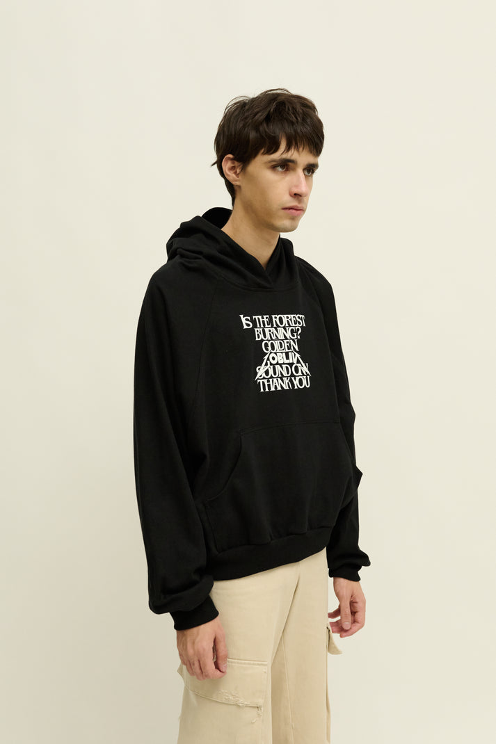 Liberal Youth Ministry GOBLIN HOODIE
