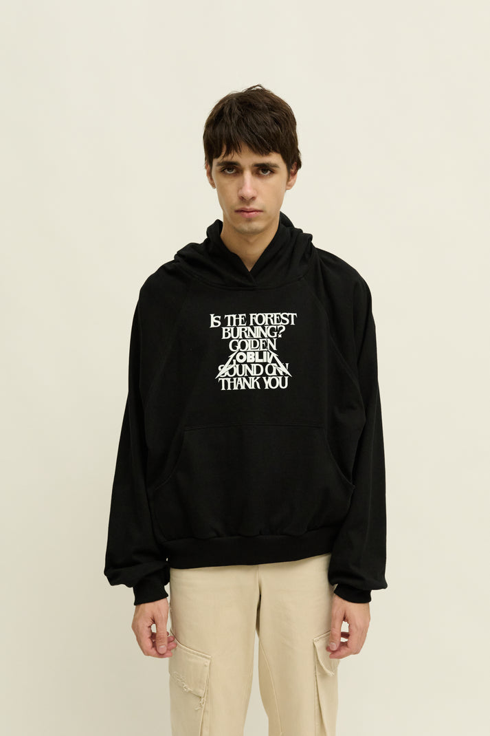 liberal youth ministry GOBLIN HOODIE