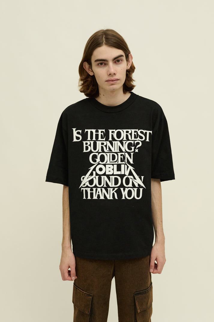 liberal youth ministry GOBLIN T-SHIRT