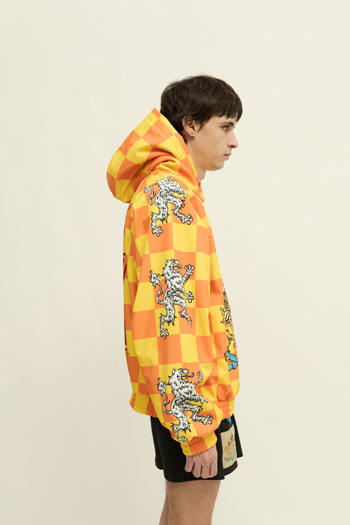 Liberal Youth Ministry LIONS SPORT HOODIE