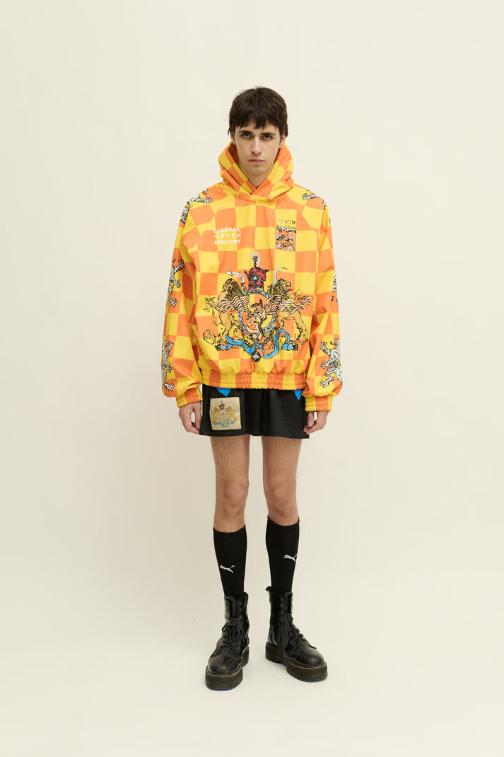 liberal youth ministry LIONS SPORT HOODIE