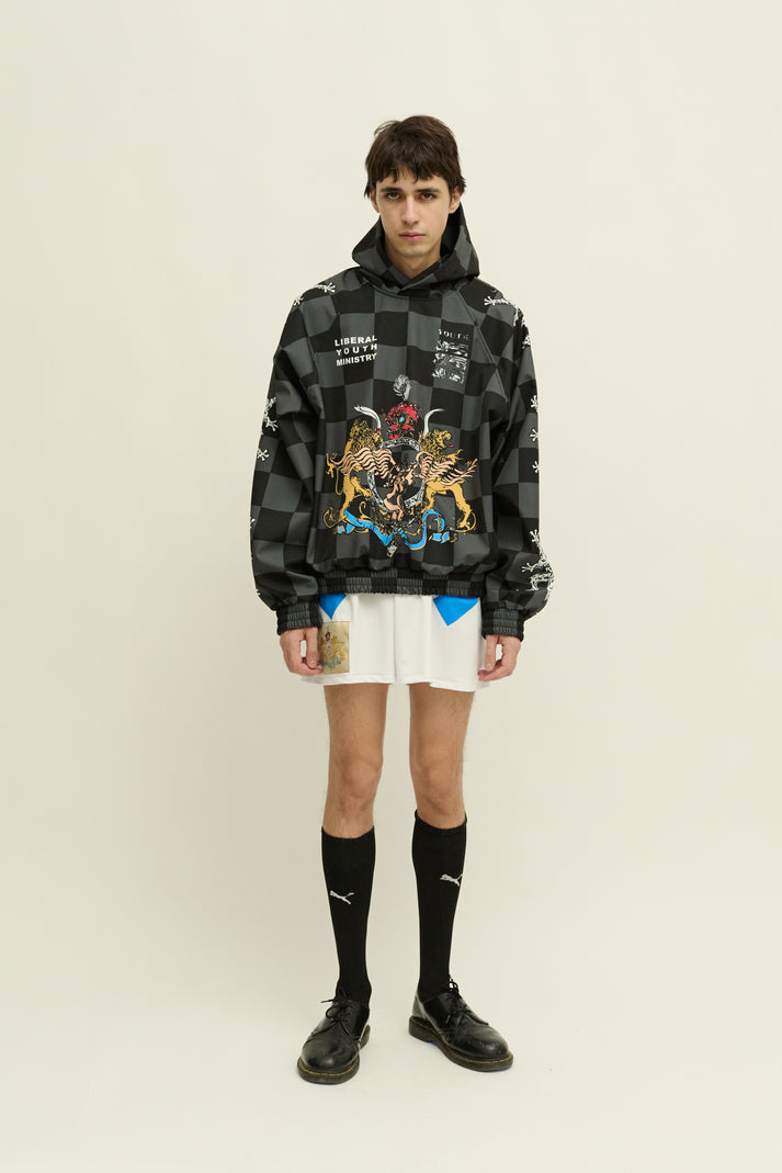 liberal youth ministry LIONS SPORT HOODIE