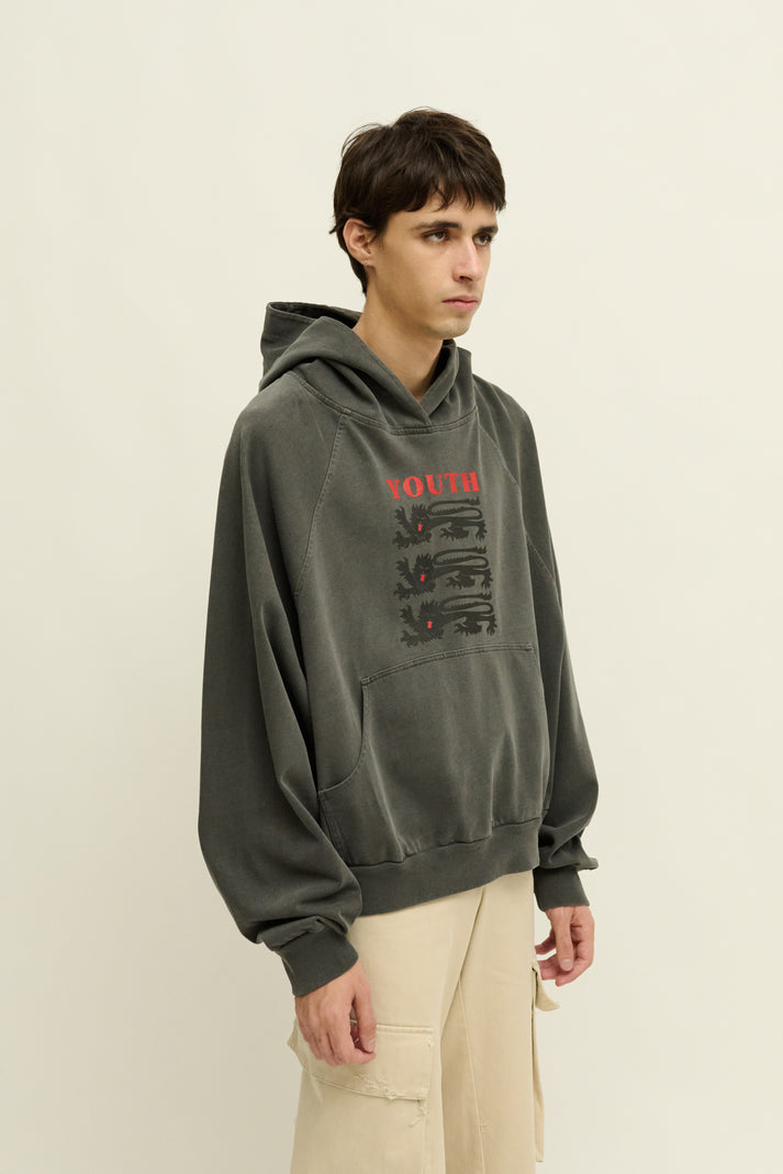 Liberal Youth Ministry YOUTH HOODIE