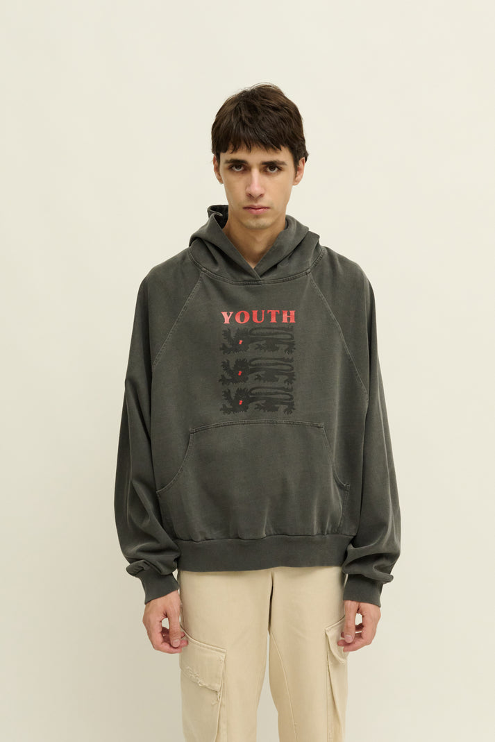 liberal youth ministry YOUTH HOODIE