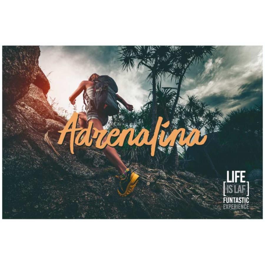 Live Is Laf Box Aventuras