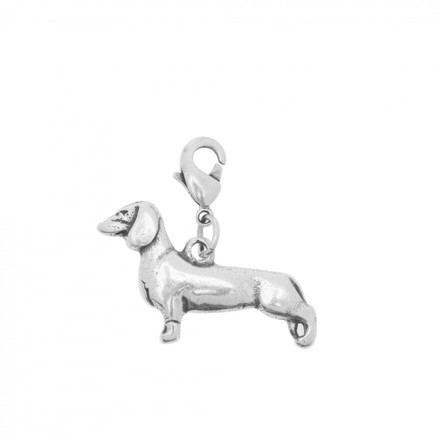 live is laf Charm perro salchicha