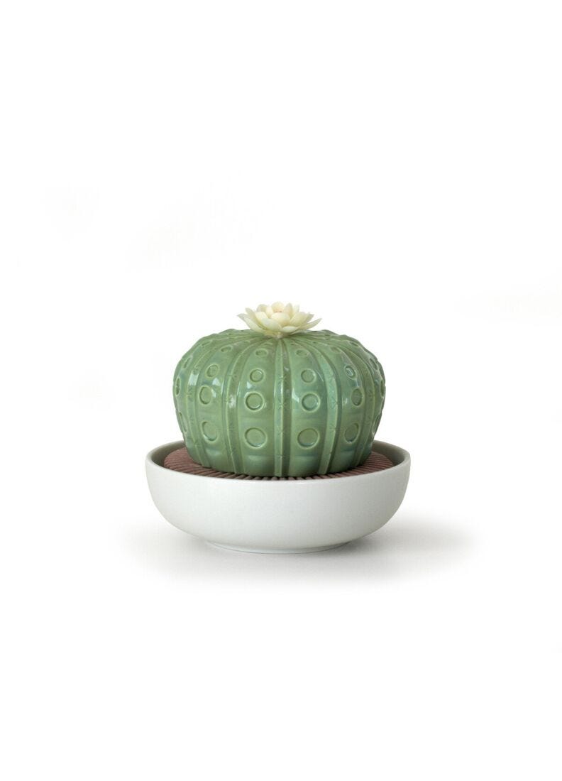 Lladro Difusor Cactus Astrophytum. Aroma Jardines De Valencia
