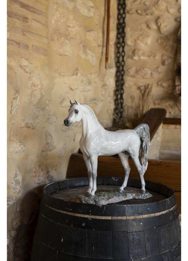 Lladro Figura Caballo Pura Raza árabe. Serie Limitada