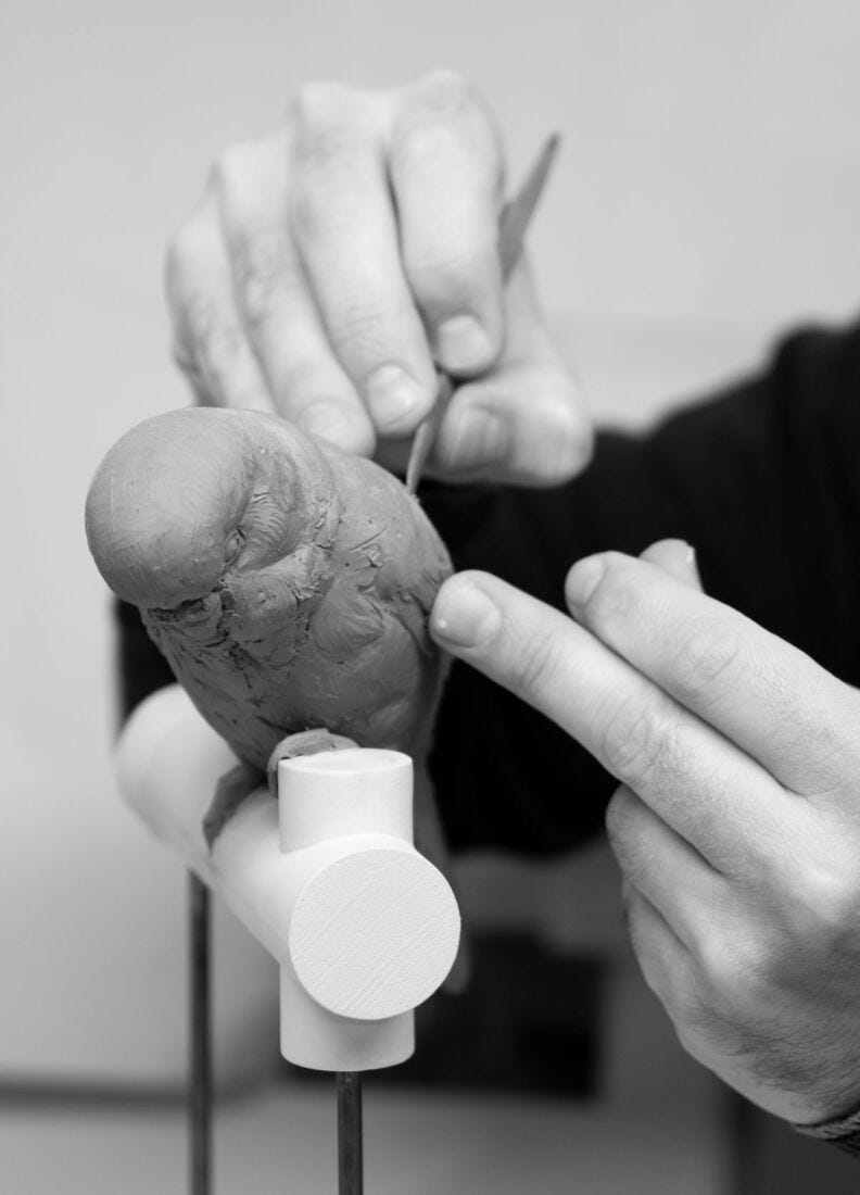 Lladro Aplique Pared The Parrot Party - Dcha - Negro