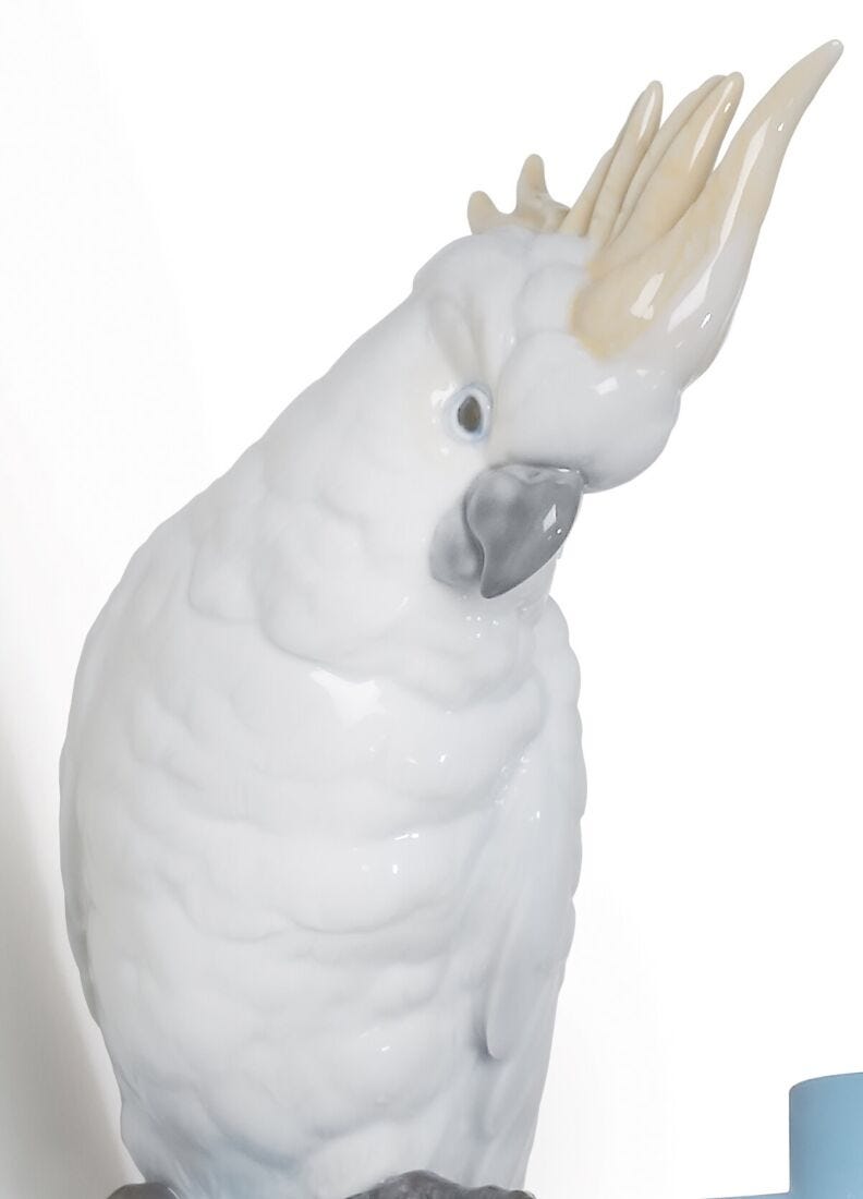 Lladro Colgador Pared Parrot Hang I