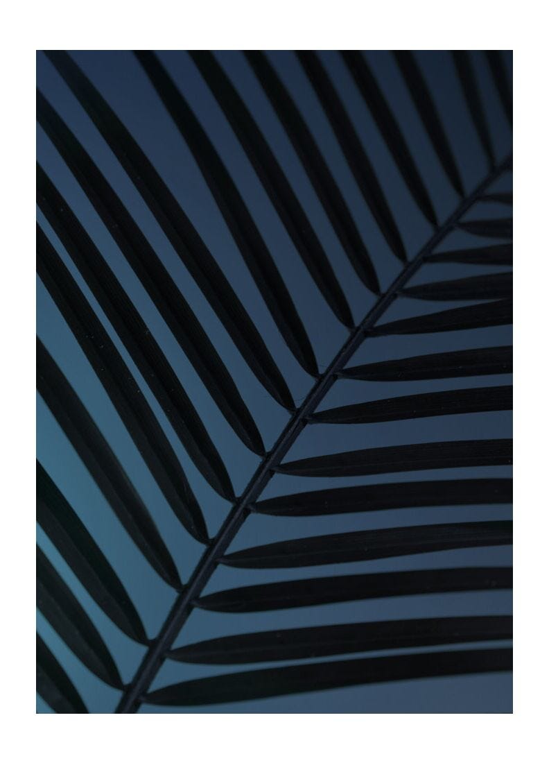 Lladro Collar Paradise Wings