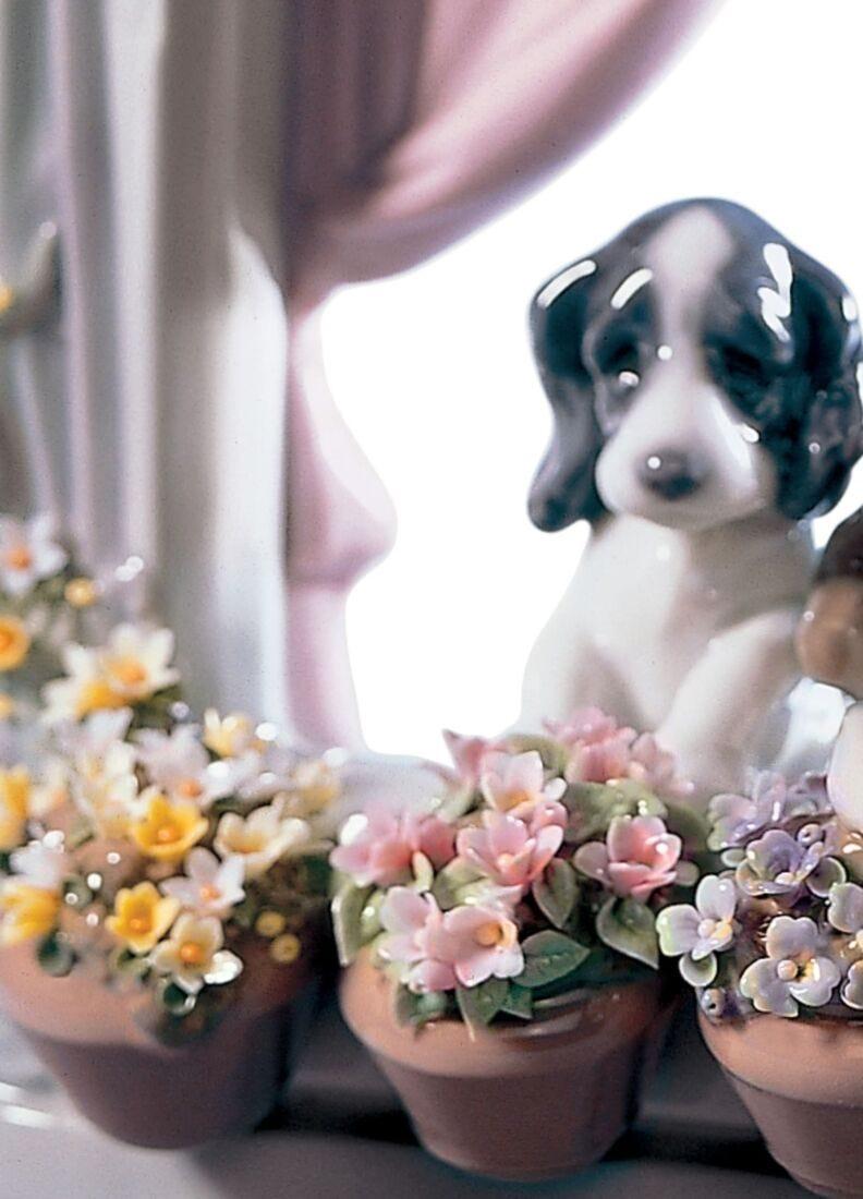 Lladro Figura Perros Ventana Florida