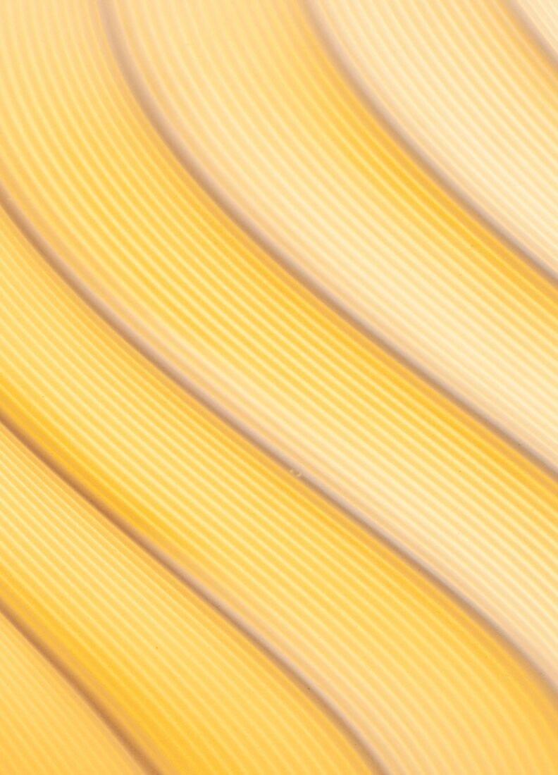 Lladro Lámpara Portátil Ice Cream. Mediana. Negro