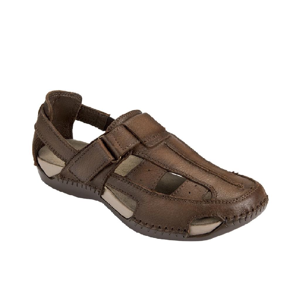 lobo solo 1943-IXTAPA