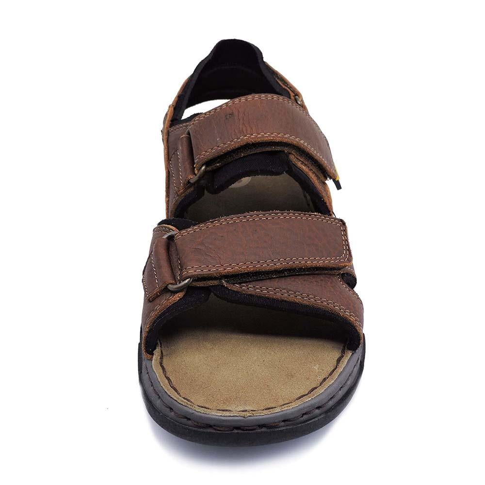 Lobo Solo 6507-CACERES