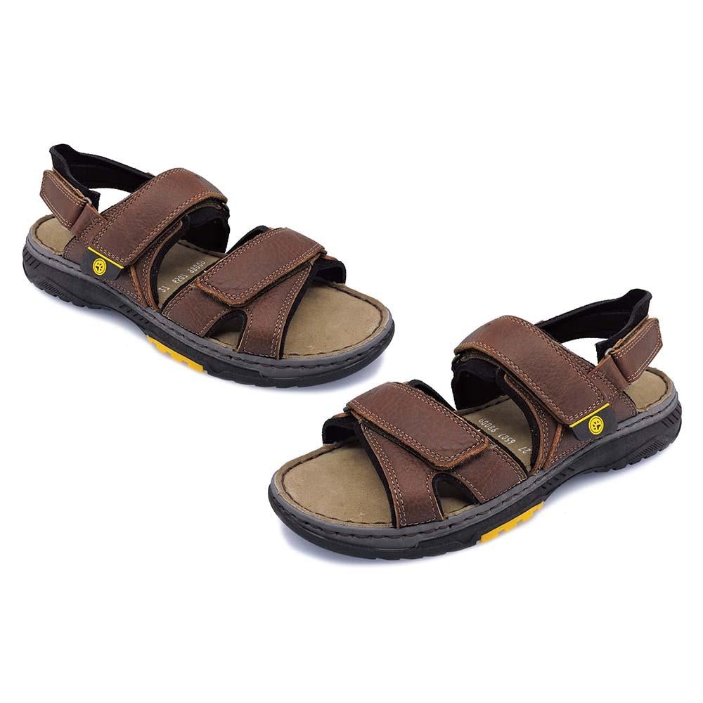 Lobo Solo 6507-CACERES