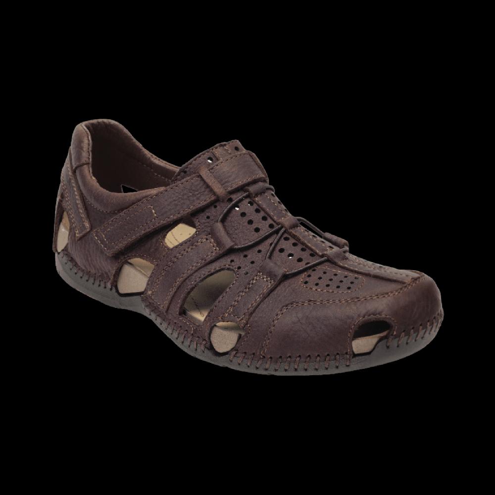 lobo solo 6597-MATEO