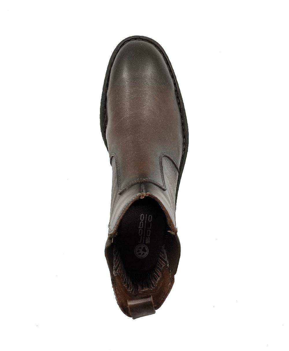 Lobo Solo 7949 BRUNO