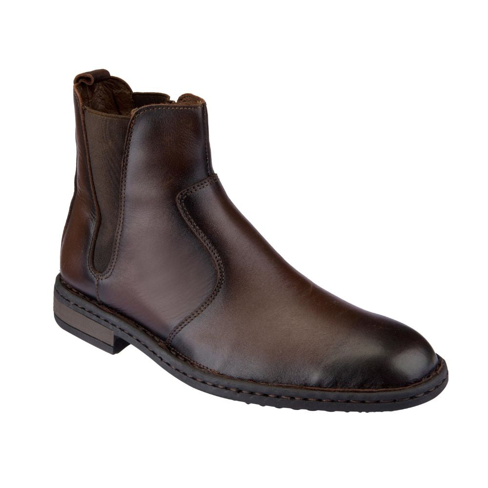 lobo solo 7949 BRUNO