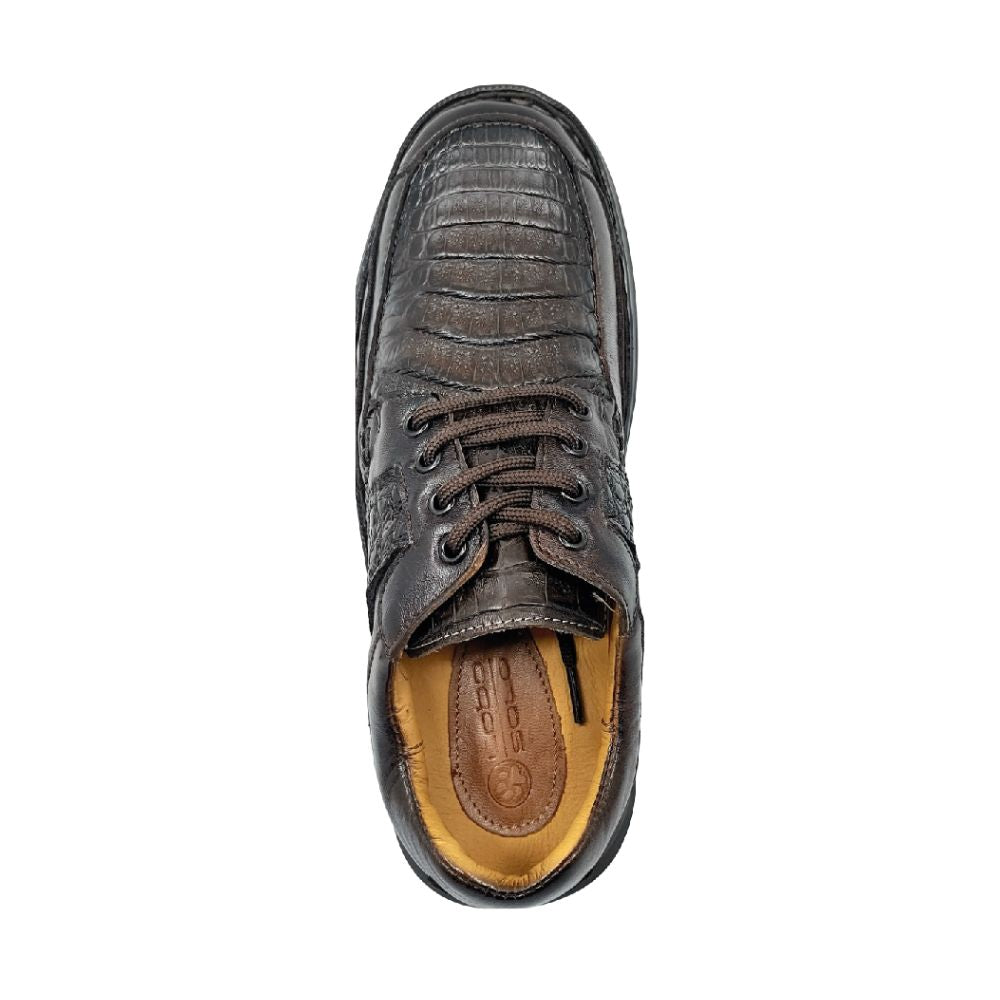 Lobo Solo CHOCLO CABALLERO 8082CO COCODRILO CAFÉ