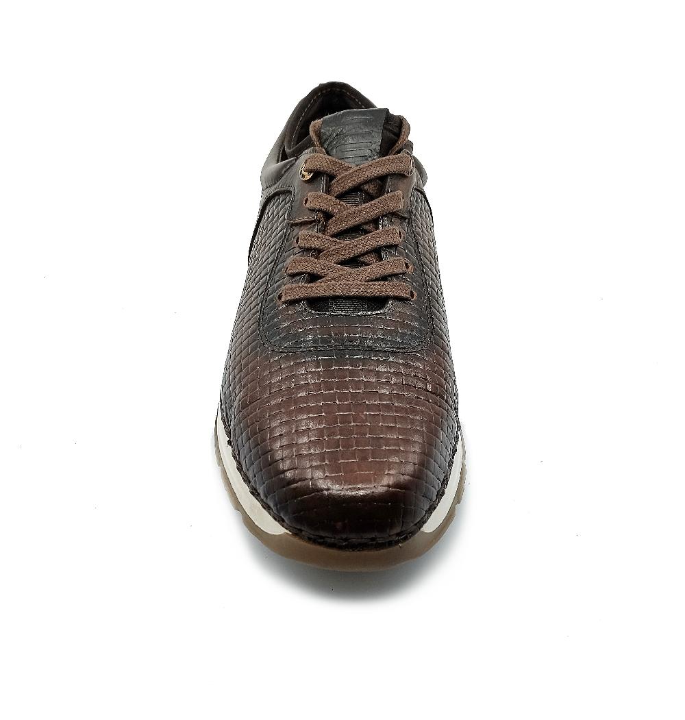 Lobo Solo CHOCLO CABALLERO 9751 ECLIPSE