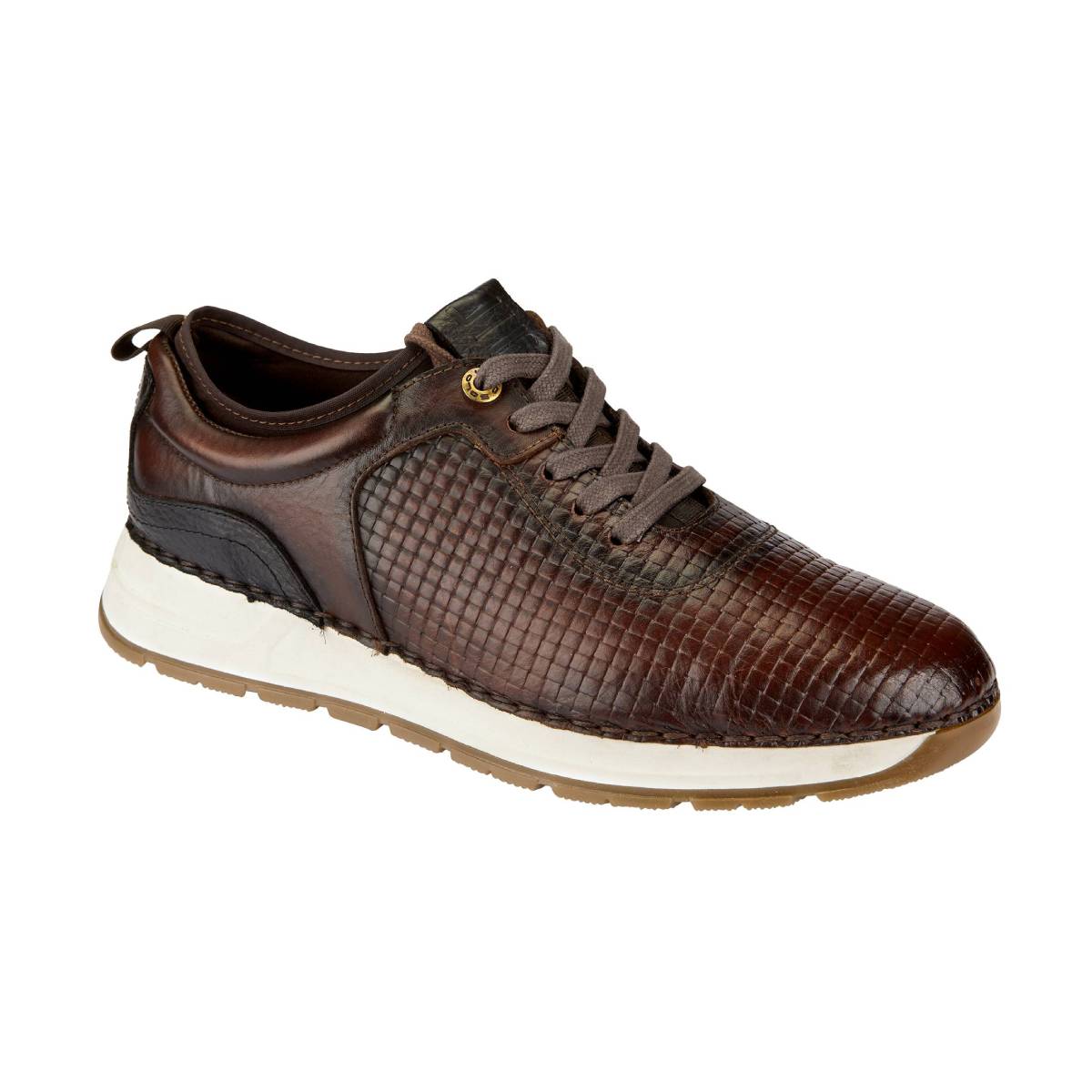 lobo solo CHOCLO CABALLERO 9751 ECLIPSE