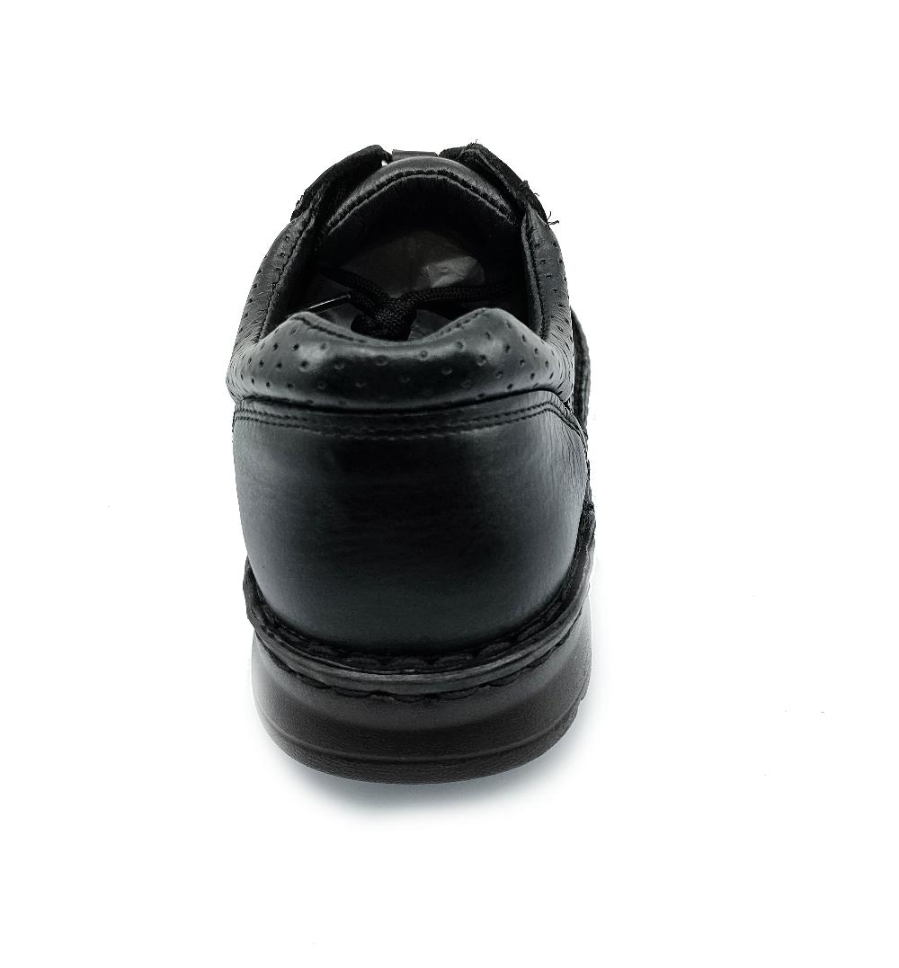 Lobo Solo DUVAL 9653