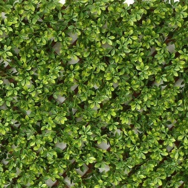 Lolahome Celosía Extensible Con Seto Artificial PREMIUM Boj De 1 8x0 9 M. Realista Y Natural Alta Ocultación Tratamiento UV No Inflamable Transpirable. Para Jardín Balcón Terraza O Piscina