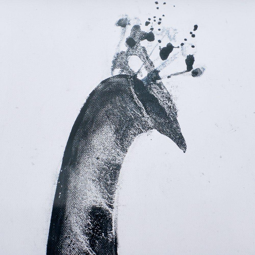 Lolahome Cuadro De Pavo Real Fotoimpreso De Cristal Blanco Y Negro De 105x80 Cm