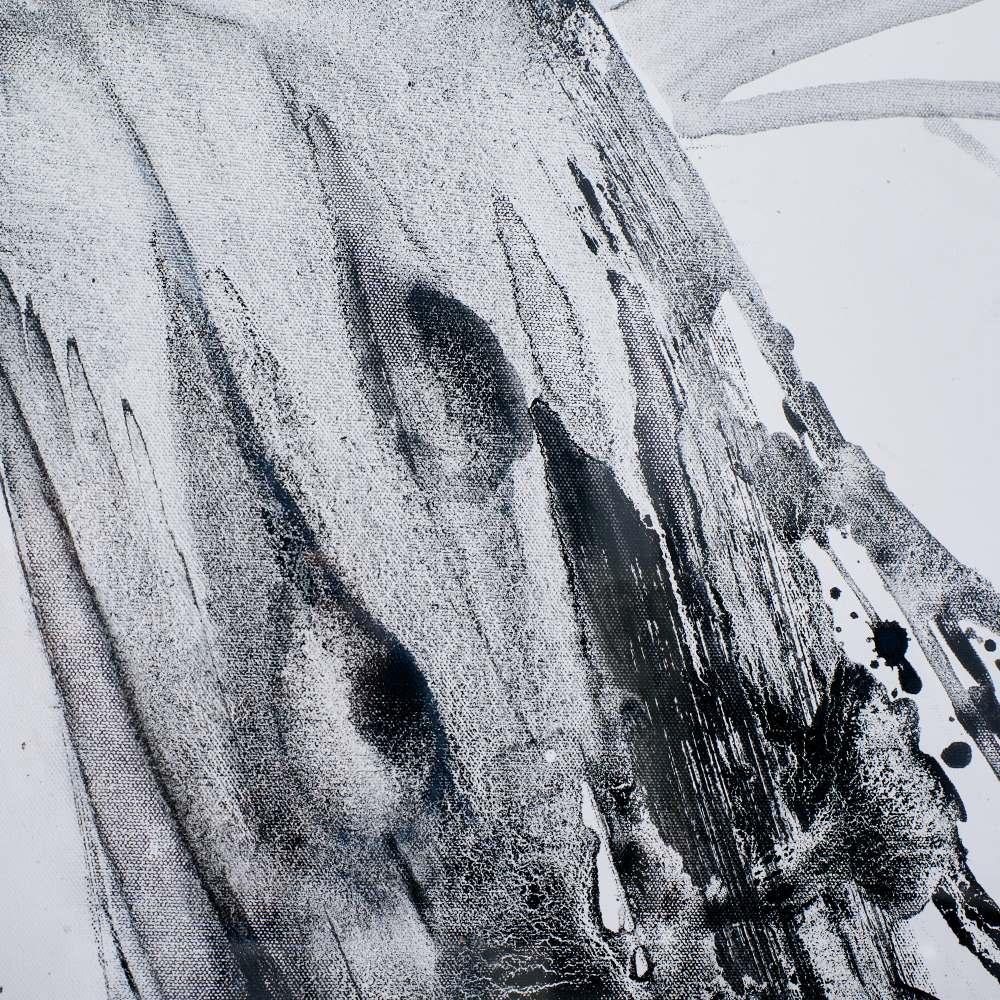 Lolahome Cuadro De Pavo Real Fotoimpreso De Cristal Blanco Y Negro De 105x80 Cm